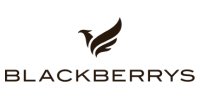 blackberry offers from klippd